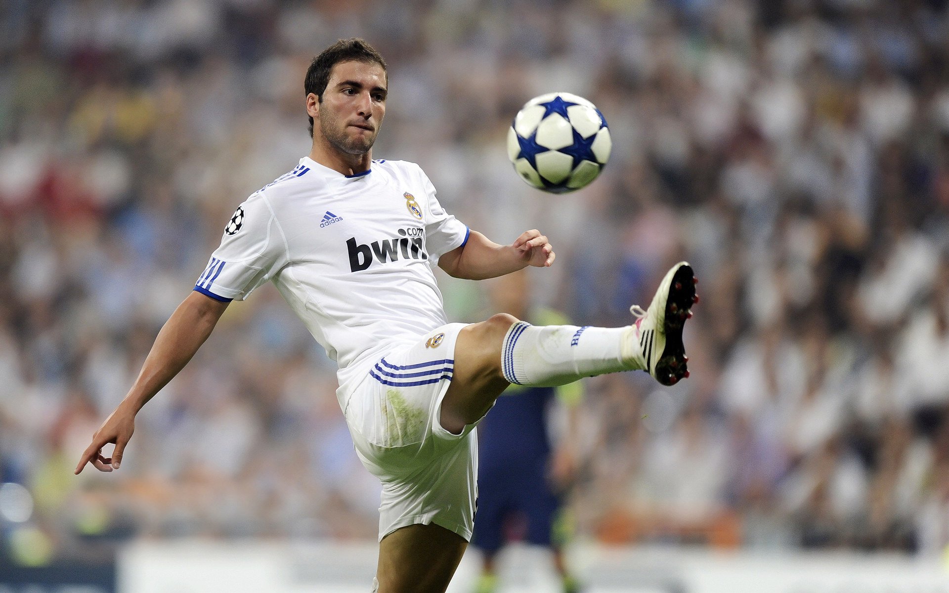 体育文化融入城市更新焕发活力，体育文化建设